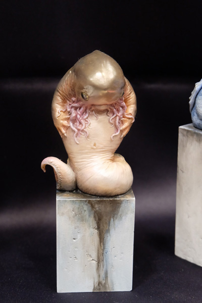 WF2018-winter-191.jpg