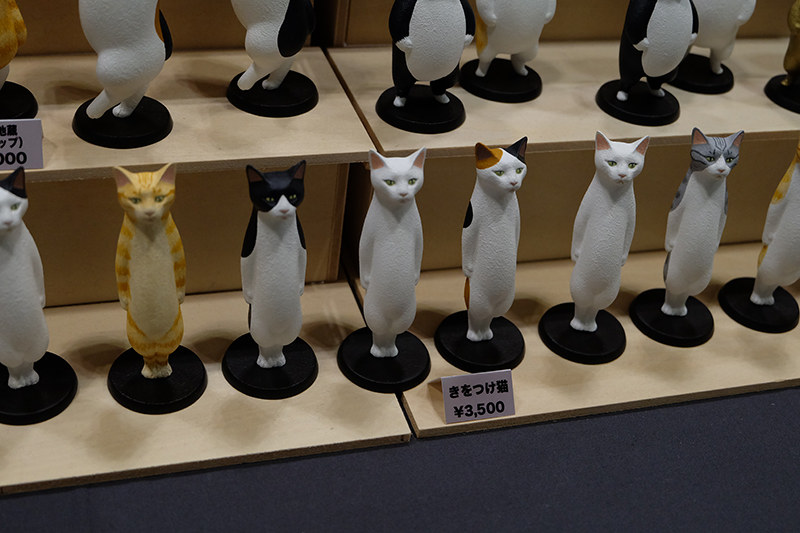 WF2019-summer-009.jpg