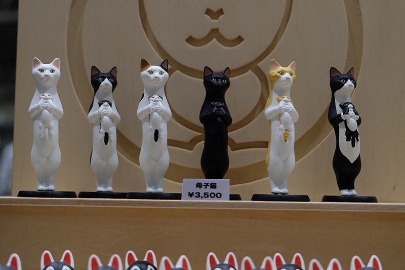 WF2019-summer-017.jpg