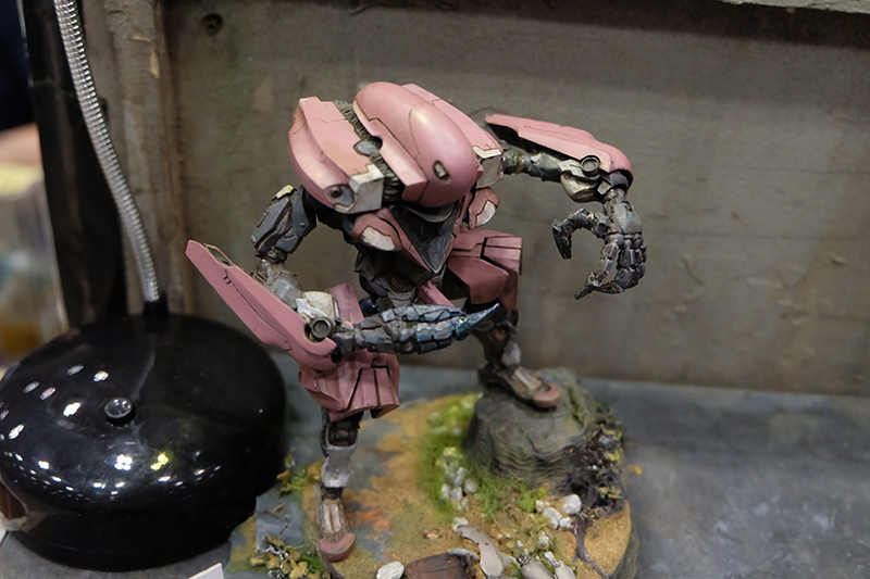 WF2019-summer-026.jpg