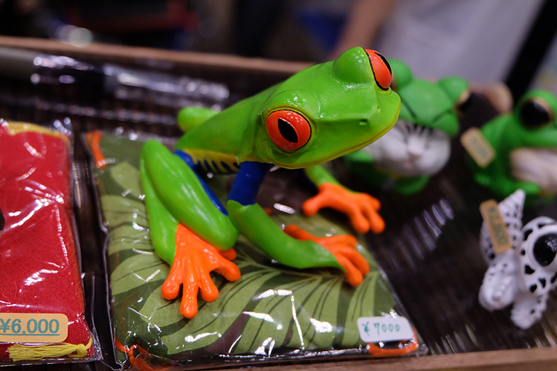 WF2019-summer-040.jpg