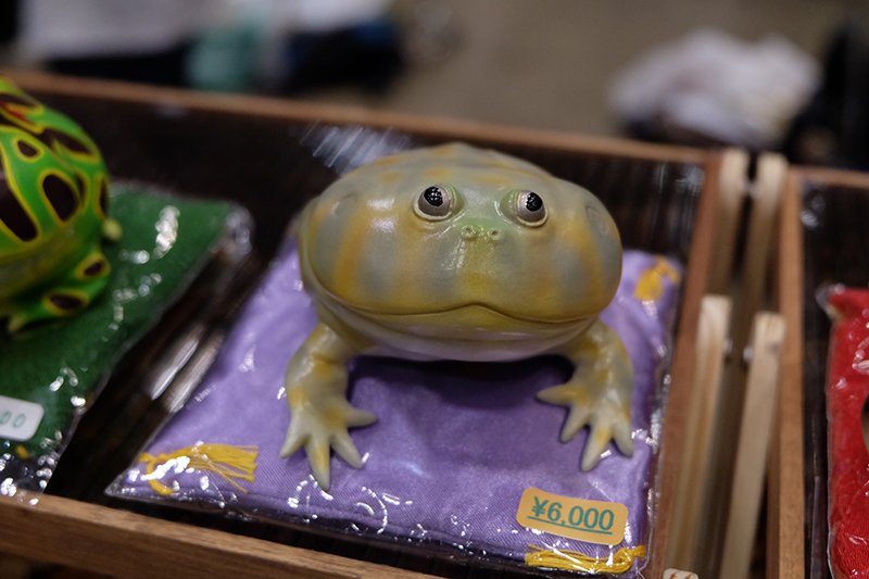 WF2019-summer-043.jpg