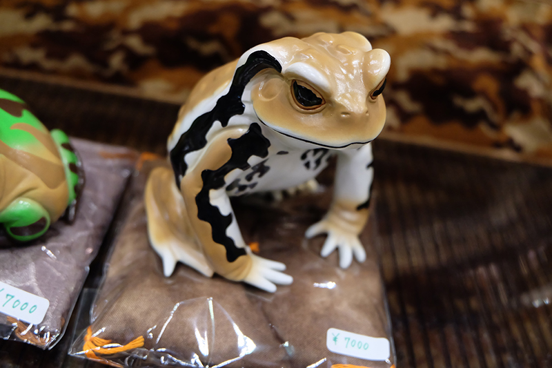 WF2019-summer-045.jpg