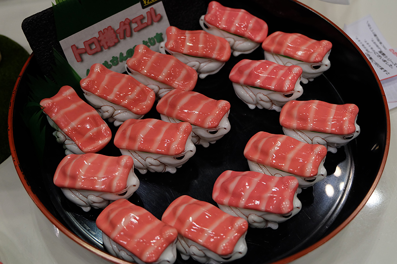 WF2019-summer-048.jpg