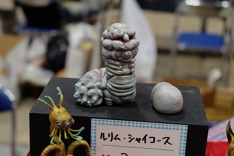 WF2019-summer-076.jpg