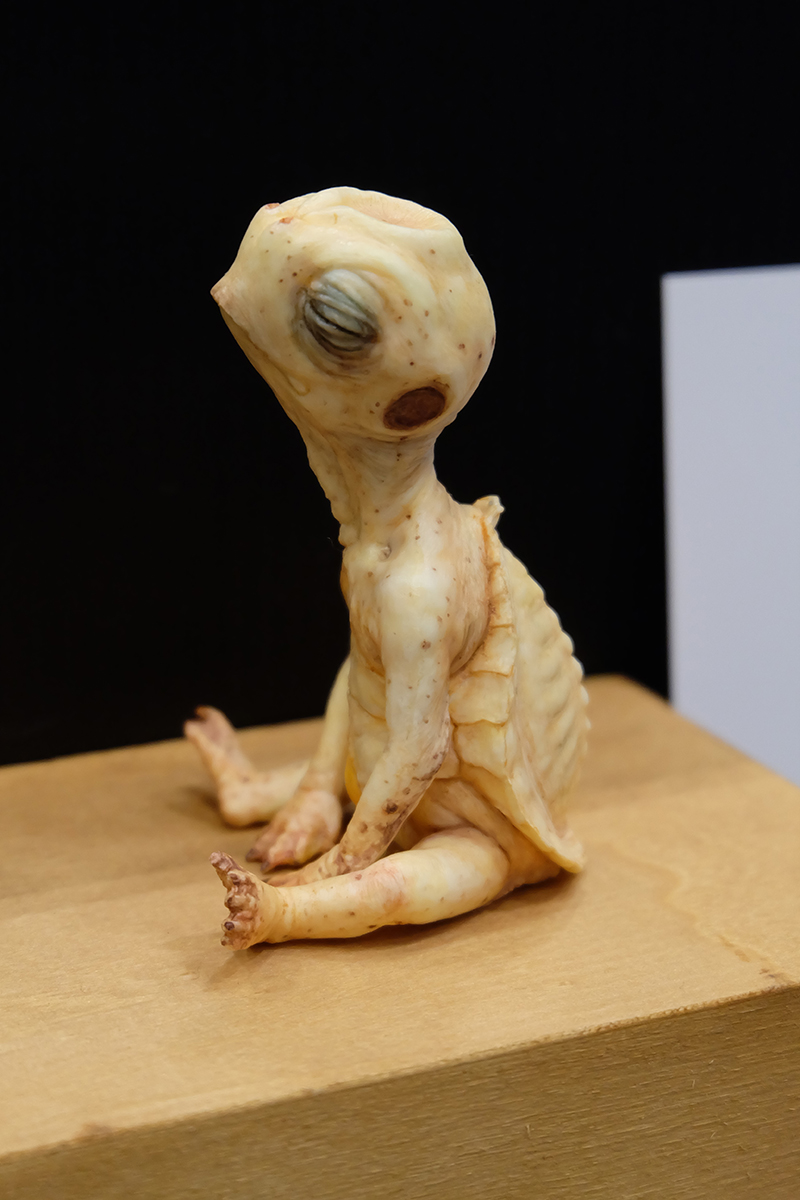 WF2019-summer-111.jpg