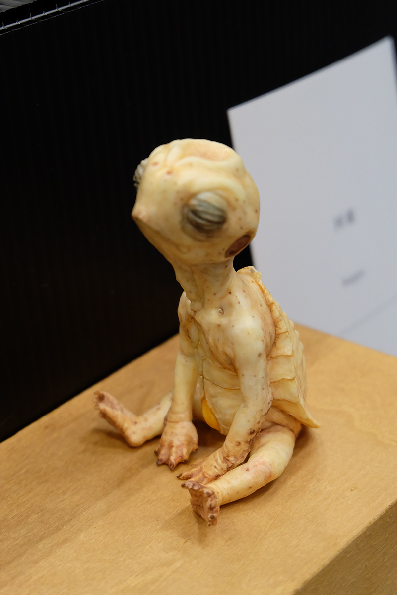 WF2019-summer-112.jpg