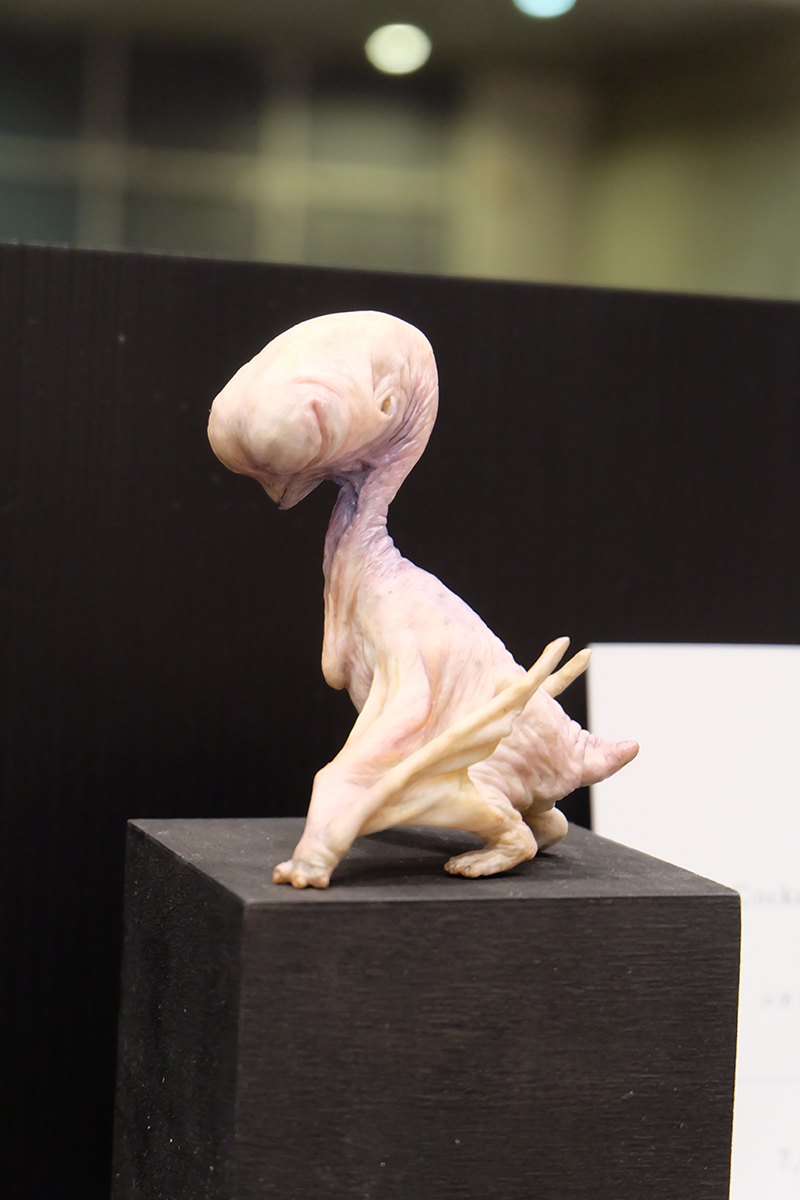WF2019-summer-113.jpg