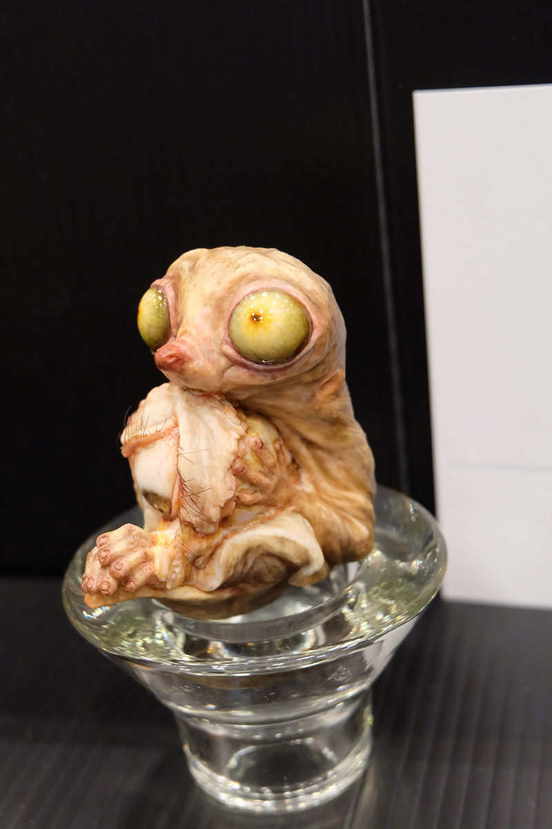 WF2019-summer-116.jpg