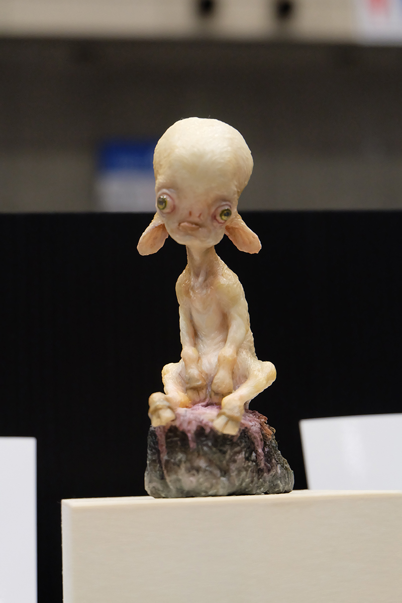 WF2019-summer-118.jpg