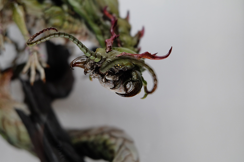 WF2019-summer-235.jpg