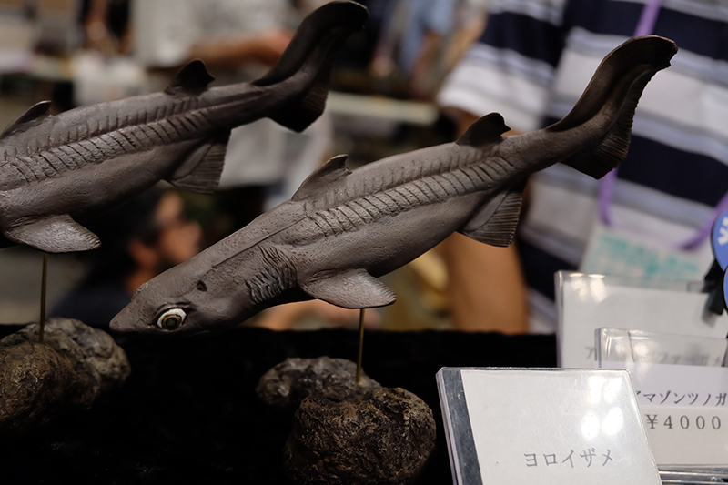 WF2019-summer-272.jpg