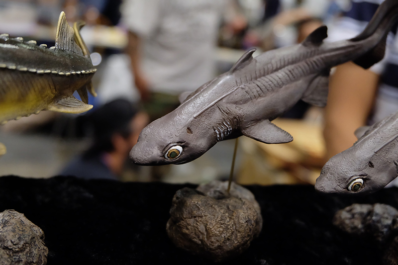 WF2019-summer-273.jpg