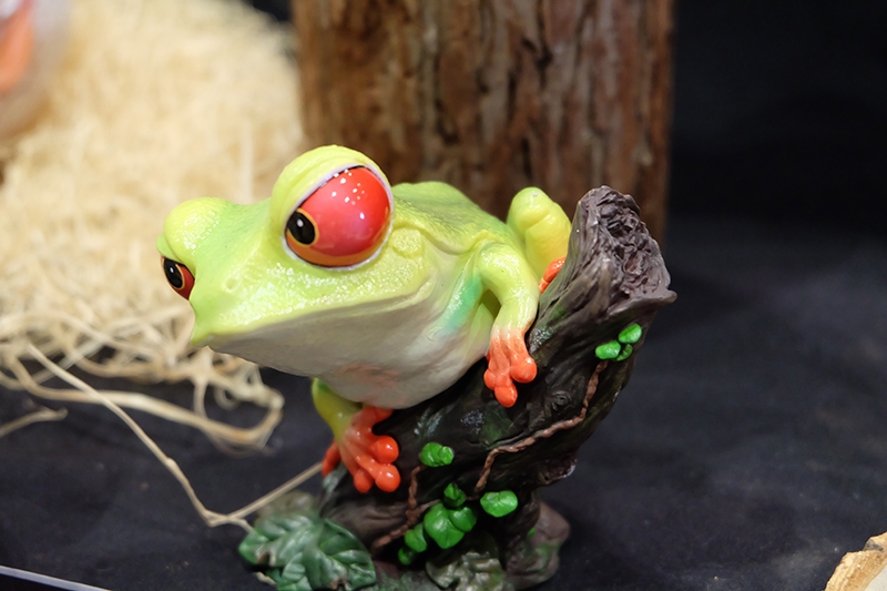 WF2019-summer-287.jpg