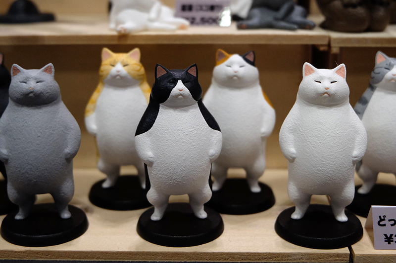 WF2019-winter-005.jpg