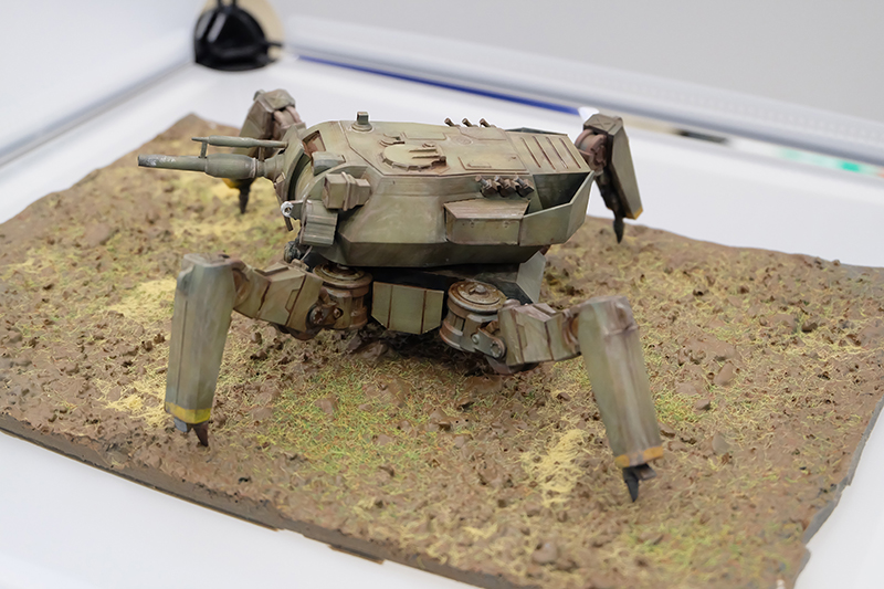 WF2019-winter-033.jpg