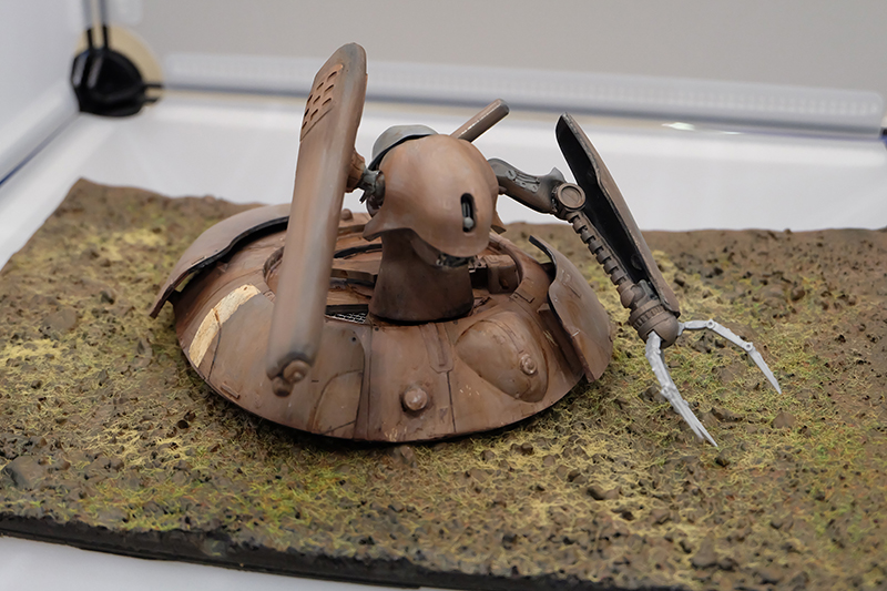 WF2019-winter-035.jpg