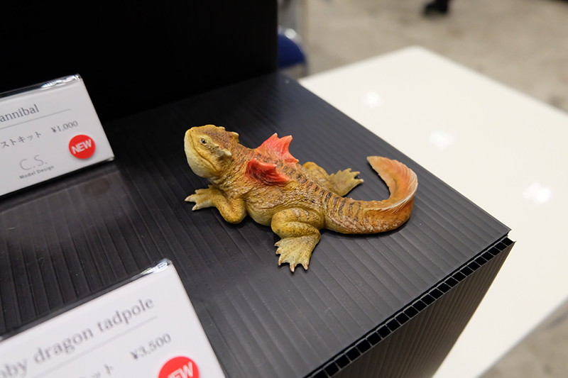WF2019-winter-066.jpg
