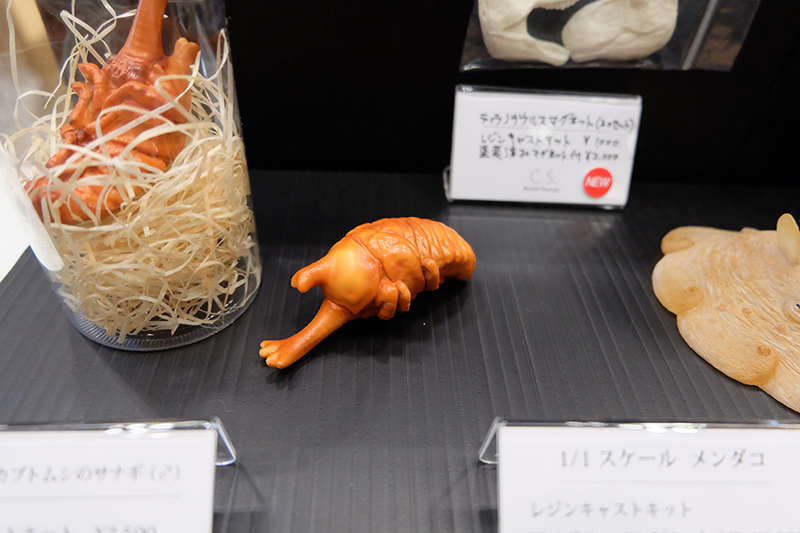 WF2019-winter-068.jpg