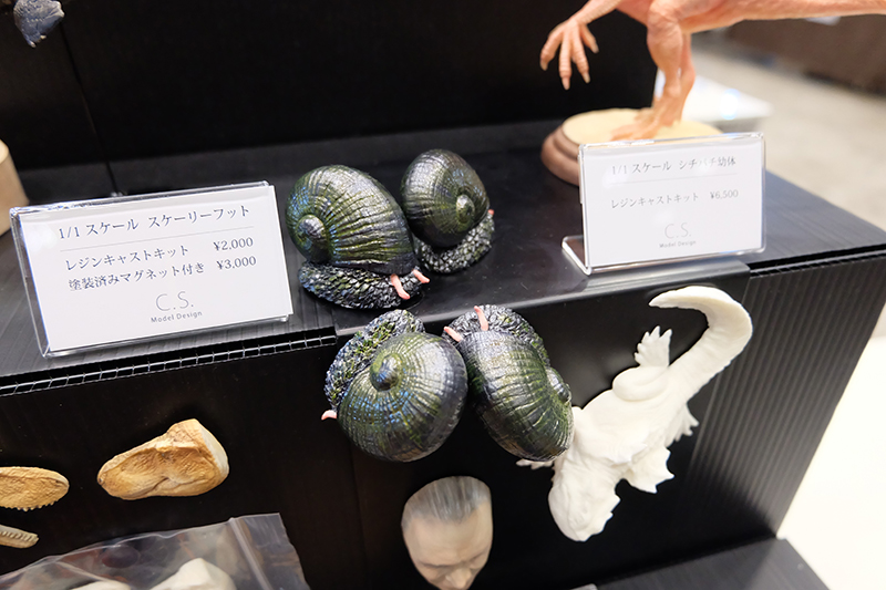 WF2019-winter-069.jpg