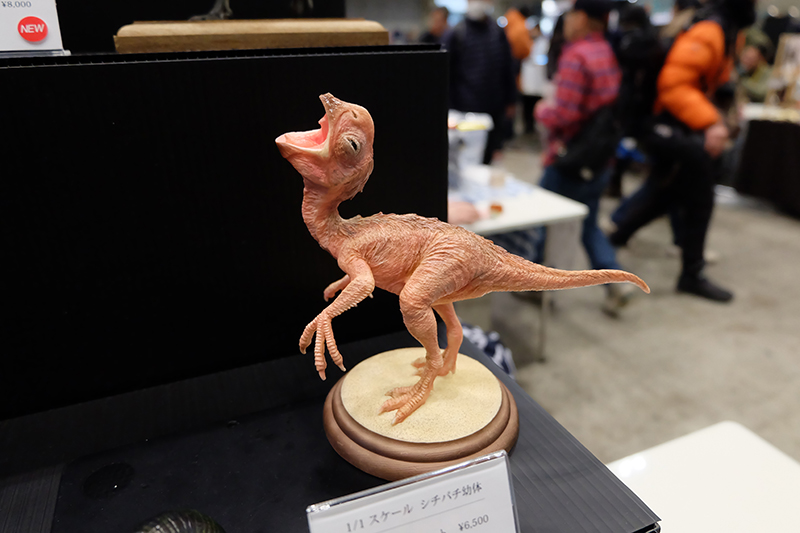 WF2019-winter-071.jpg