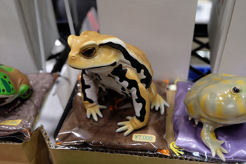 WF2019-winter-130.jpg
