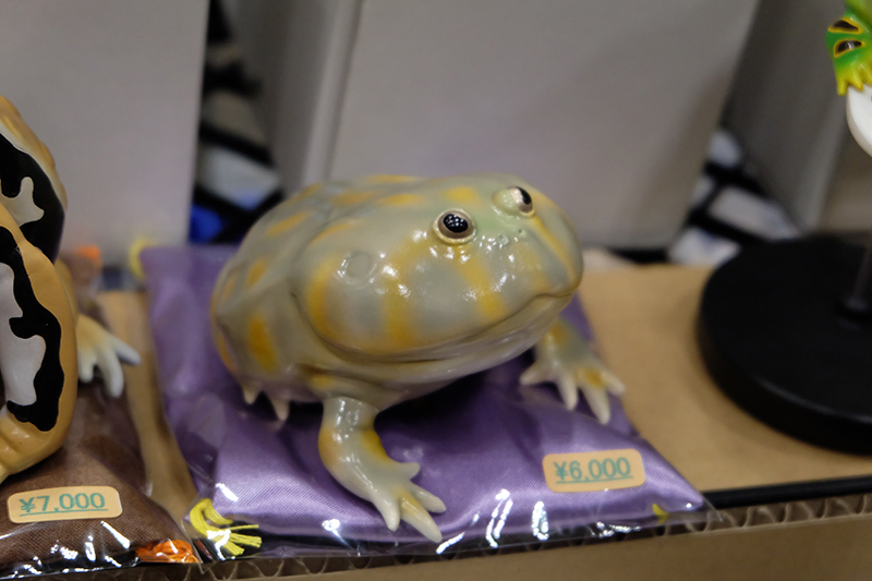 WF2019-winter-131.jpg