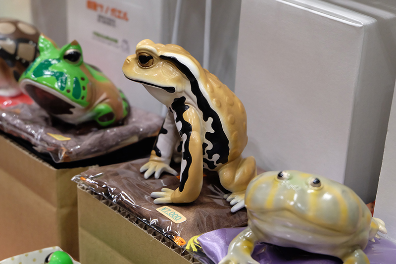 WF2019-winter-132.jpg