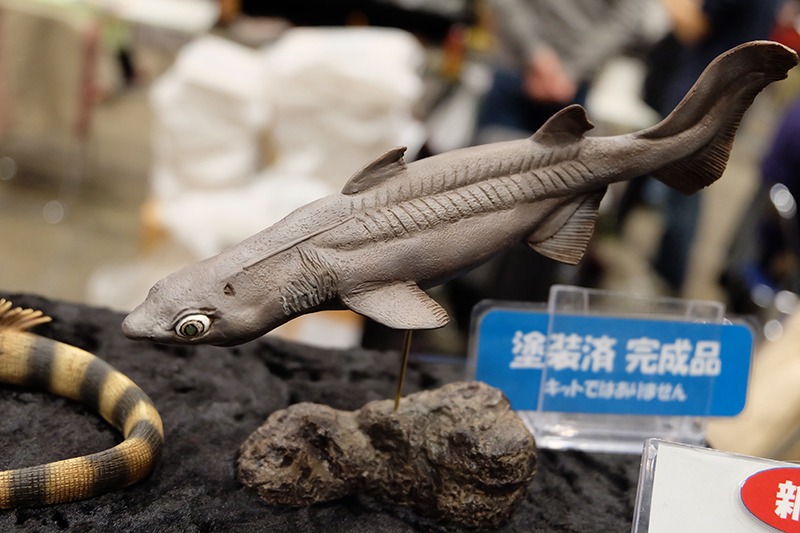 WF2019-winter-154.jpg