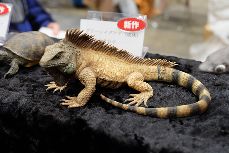 WF2019-winter-155.jpg