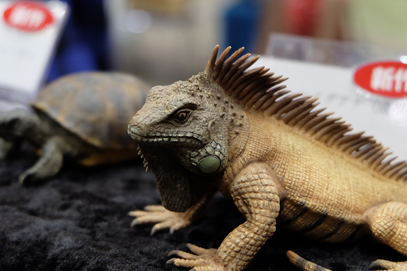 WF2019-winter-156.jpg