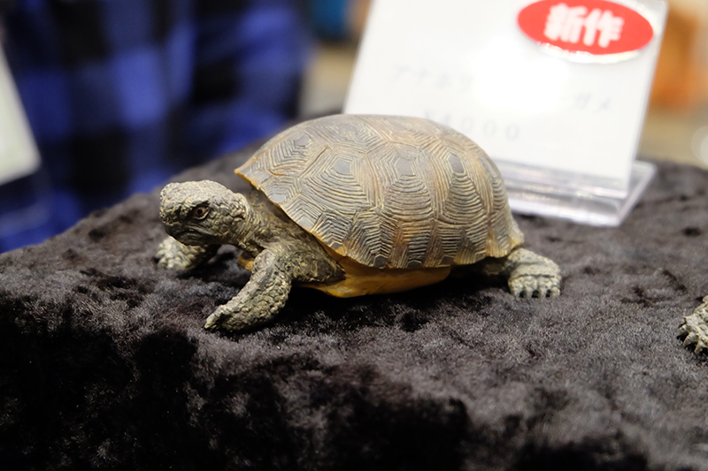 WF2019-winter-157.jpg