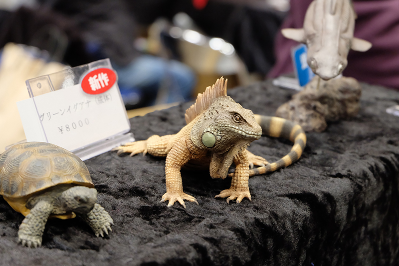 WF2019-winter-158.jpg