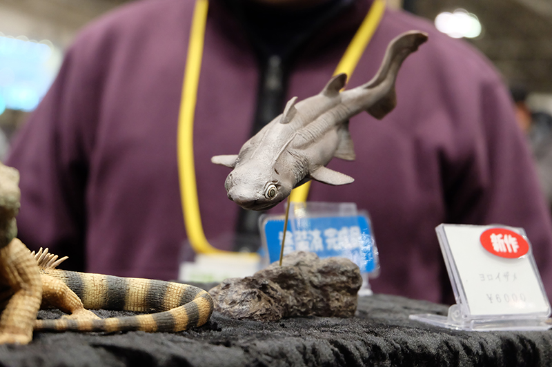 WF2019-winter-160.jpg