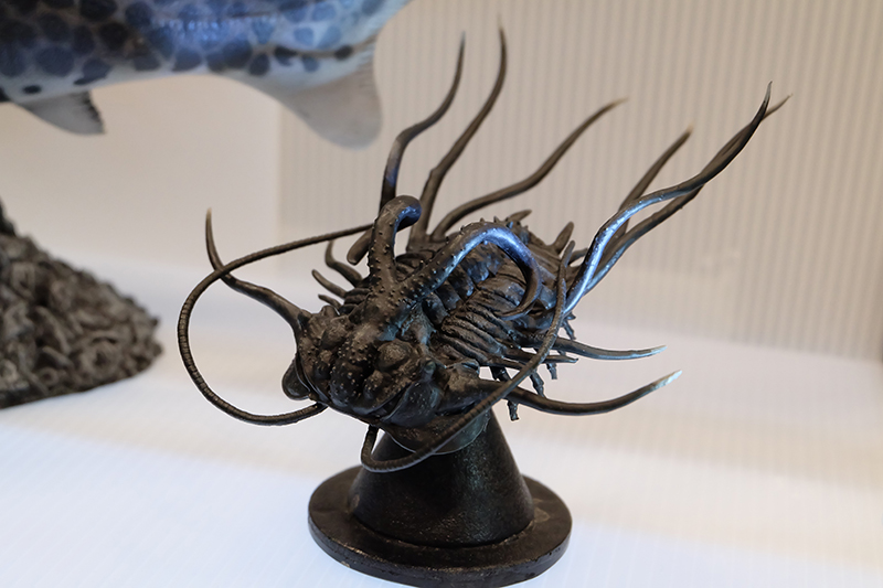 WF2019-winter-183.jpg