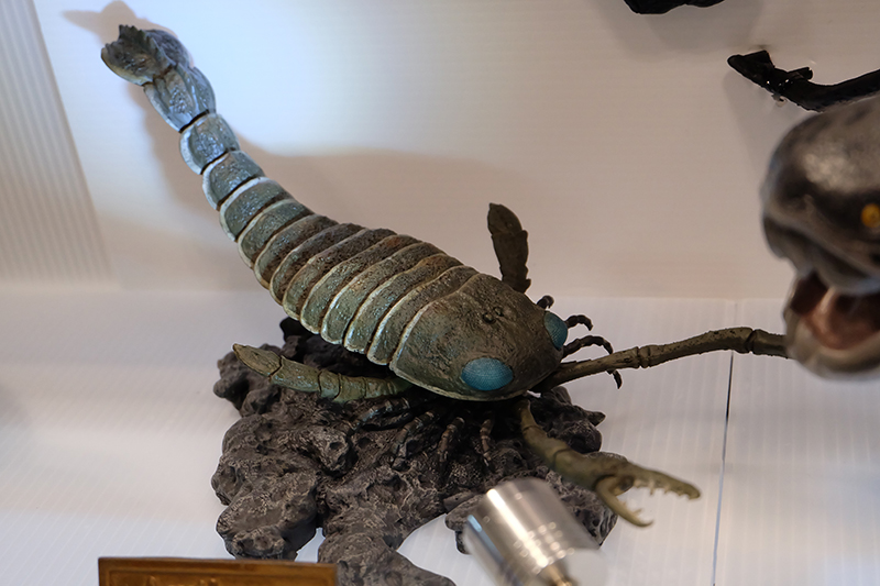 WF2019-winter-184.jpg