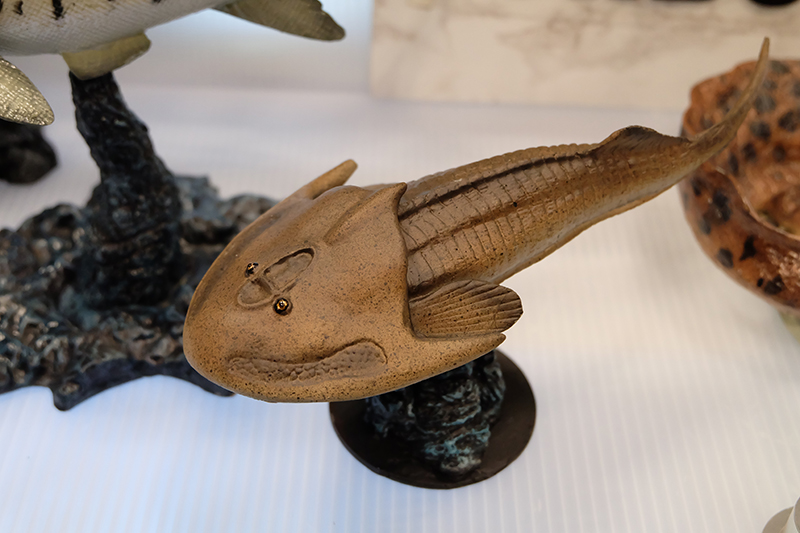 WF2019-winter-185.jpg