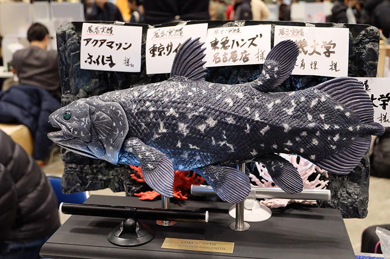 WF2019-winter-187.jpg