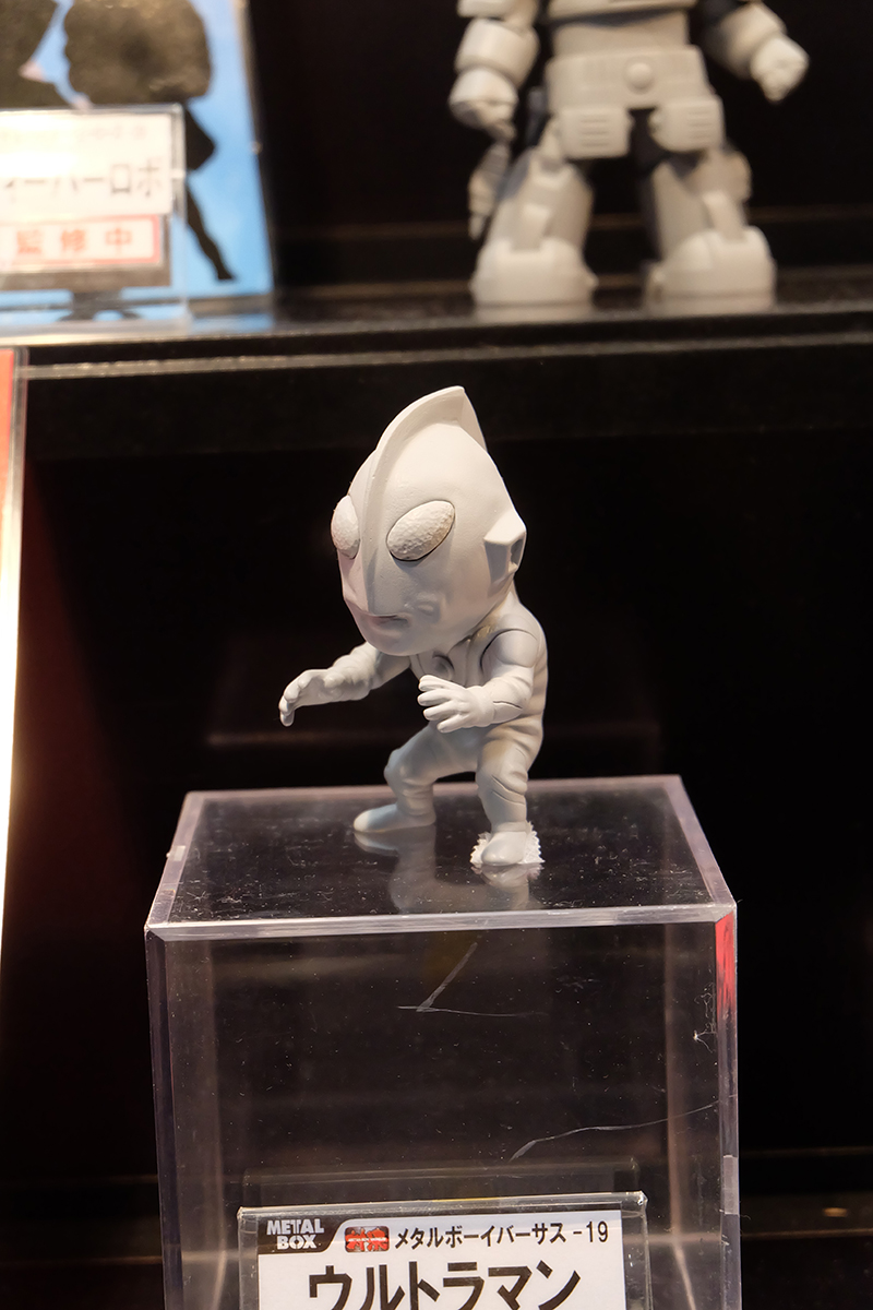 WF2019-winter-244.jpg