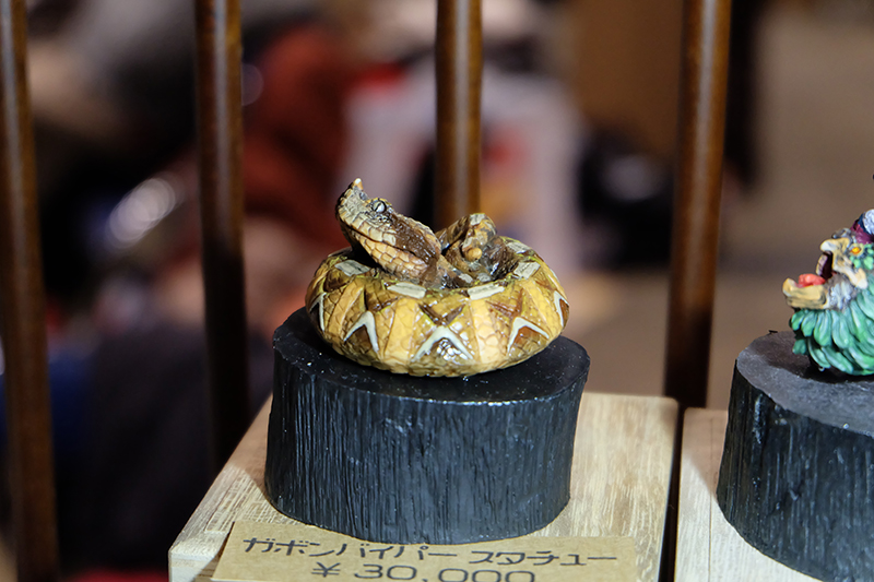 WF2019-winter-347.jpg