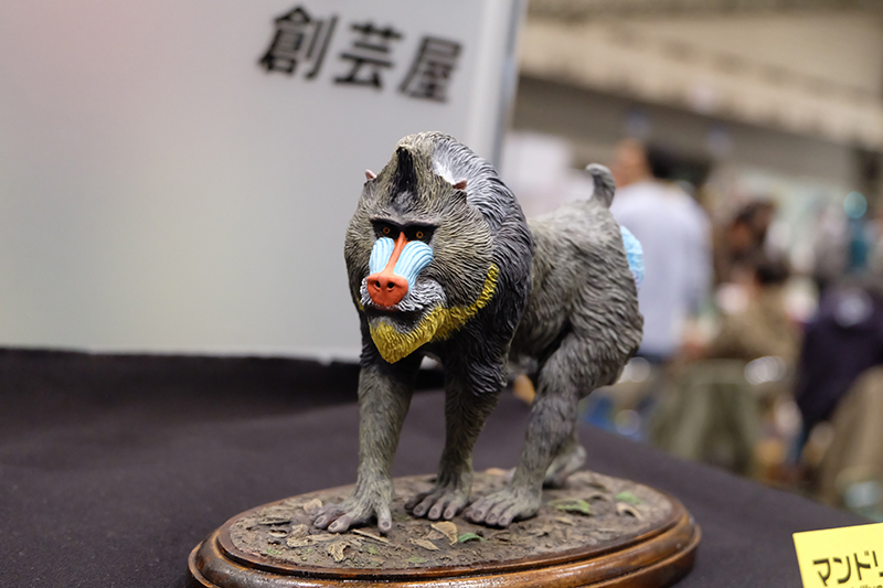 WF2019-winter-353.jpg