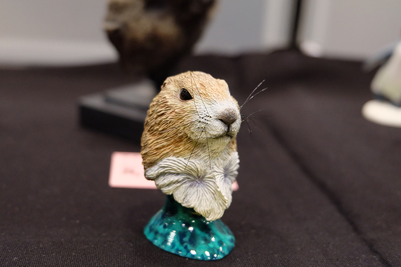 WF2019-winter-355.jpg
