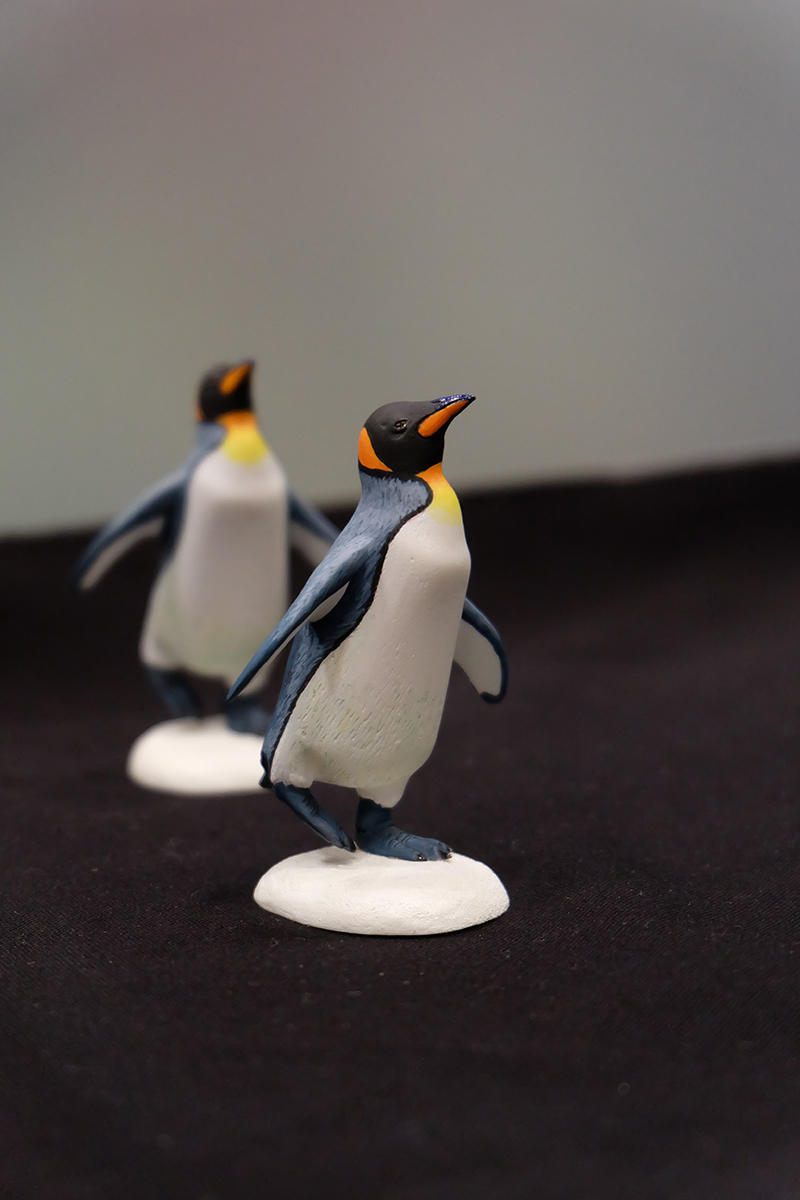 WF2019-winter-358.jpg