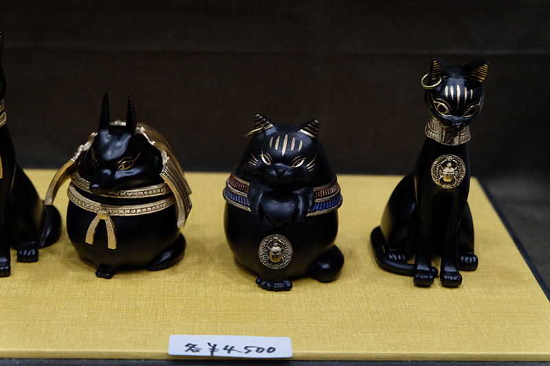 WF2019-winter-382.jpg
