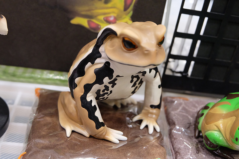 WF2020-winter-031.jpg