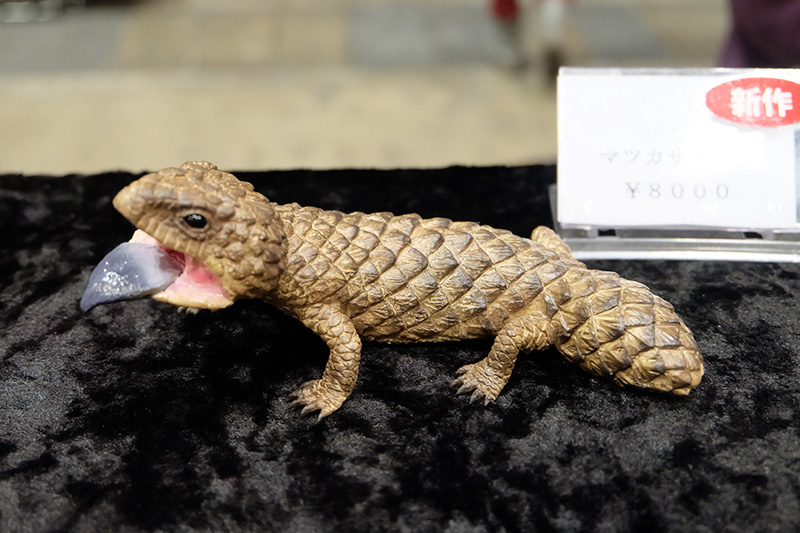 WF2020-winter-196.jpg