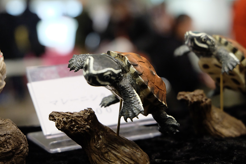WF2020-winter-200.jpg