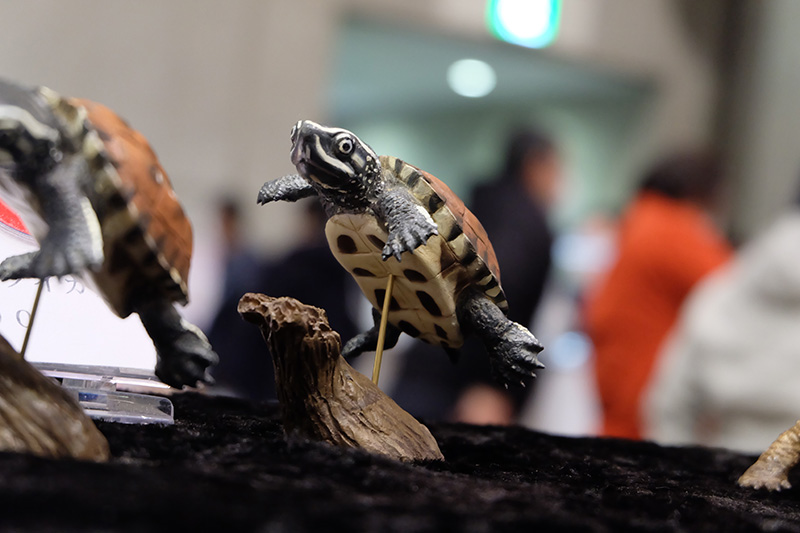 WF2020-winter-201.jpg