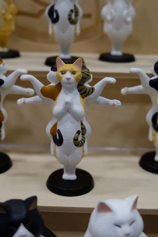 WF2022-winter-013.jpg