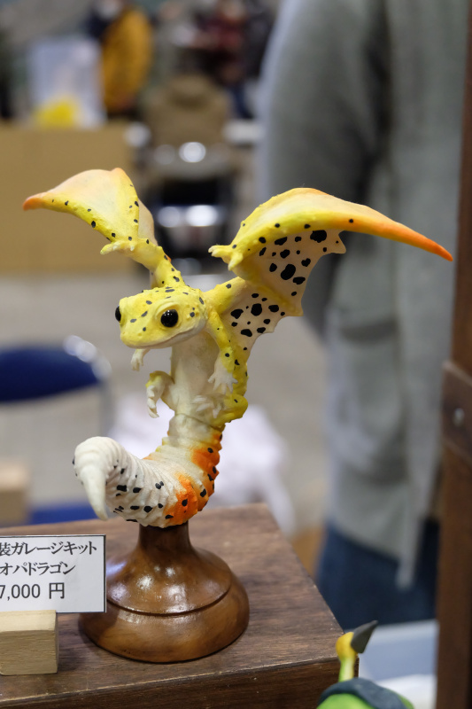 WF2022-winter-096.jpg